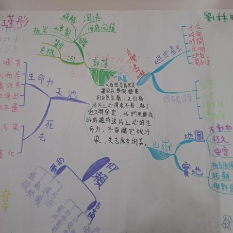 mind map -1